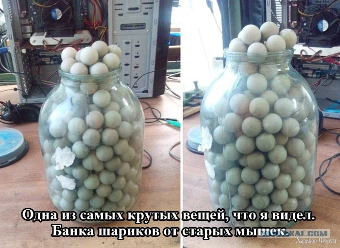 5005356.webp