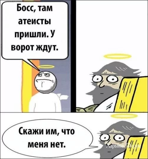 5009d97088c3d0389fabee.webp