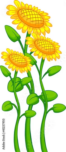 500_F_40237950_5Wuml3Y85QibBQrNWgWieIDJ4ojcF46A.webp
