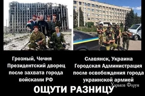 501fd2eb2ee6cb96f42c.webp