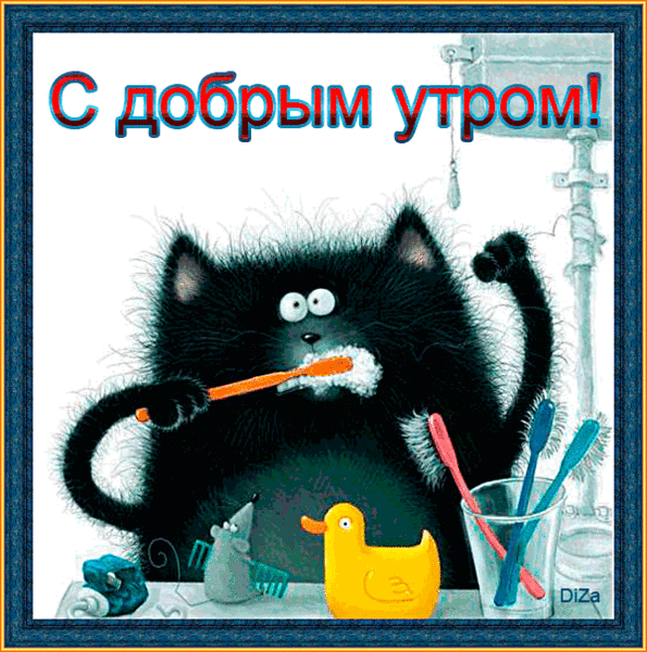 502803095.gif