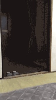 5029f3a8a10c9a3bea23.gif