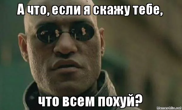 5033184.webp