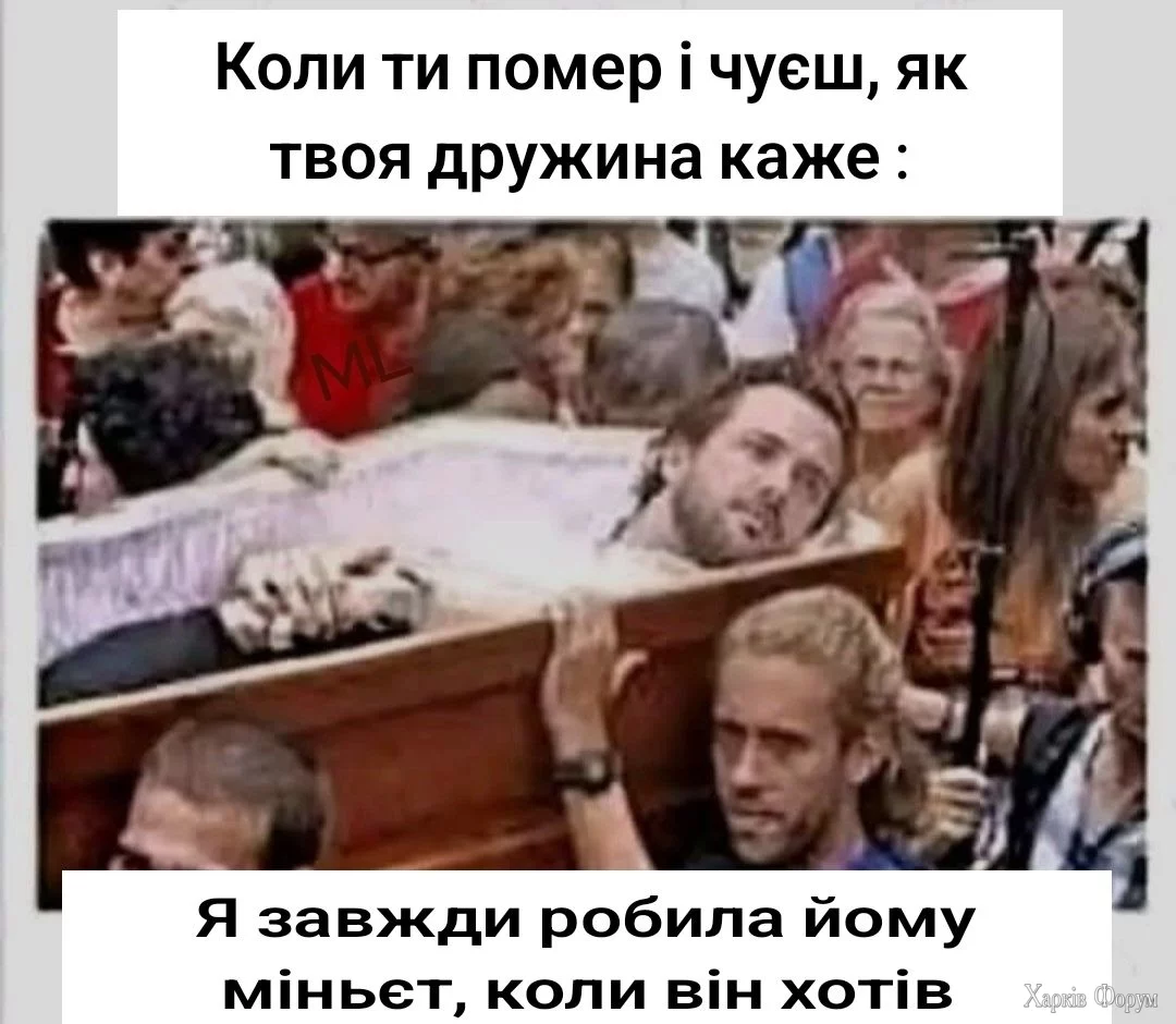 504381969_30403062259341126_3977732460591877492_n.webp