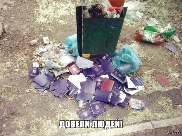 5046859.webp
