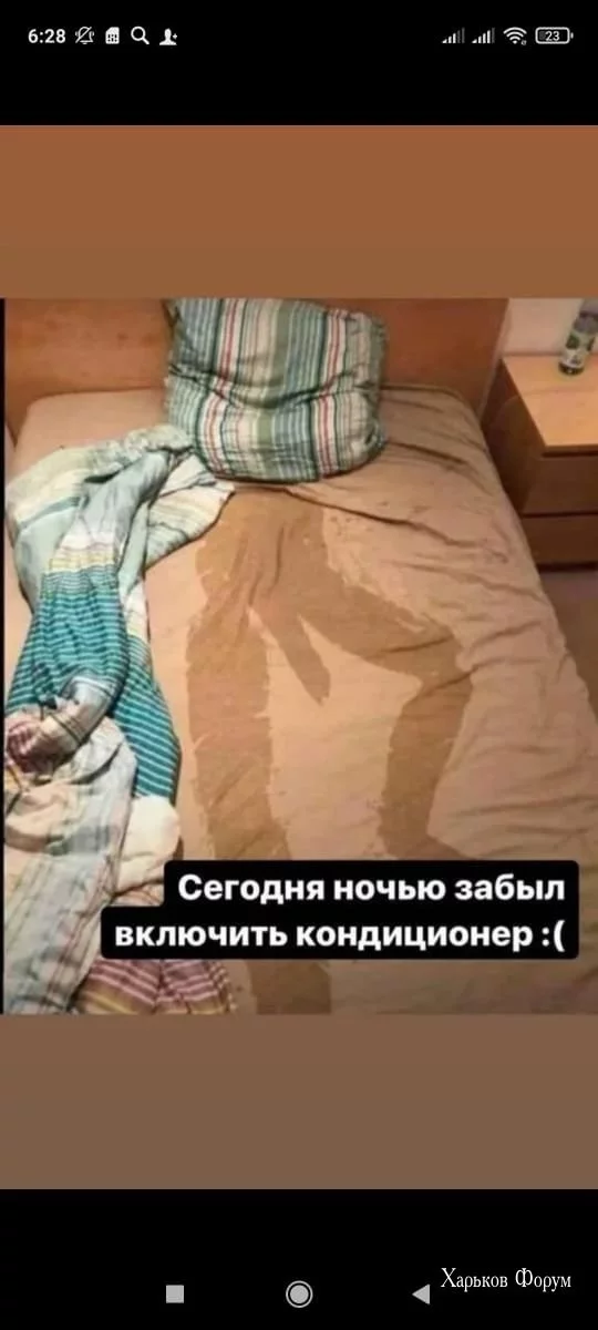 504a781d7a336c8c5.webp