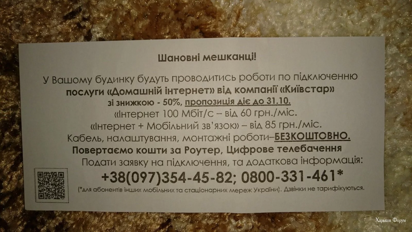 504e4a421b0369cc.webp