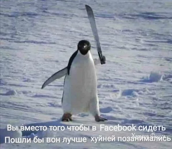 504e53f4b42f19adbbf.webp