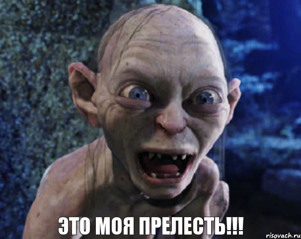 5062050.webp