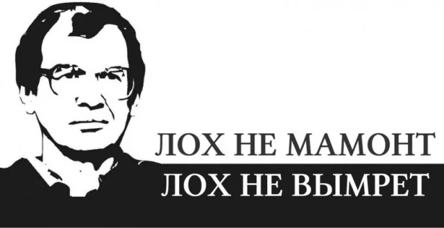 506449.webp