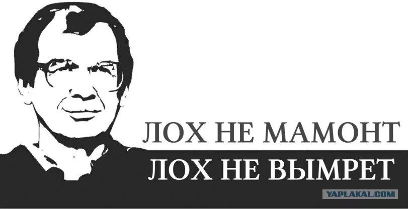 506603.webp