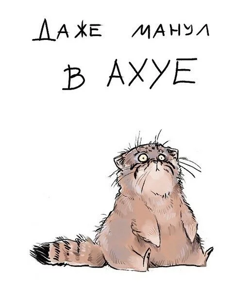 5067_900.webp