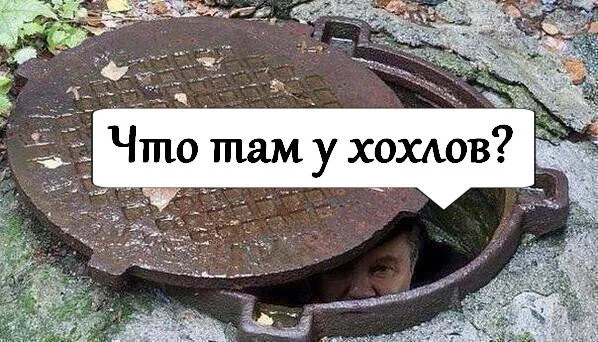 50700_big.webp