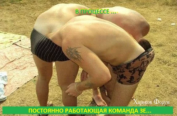 50702f829ff8791ac.webp
