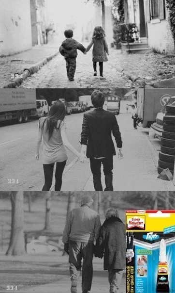 50749.webp
