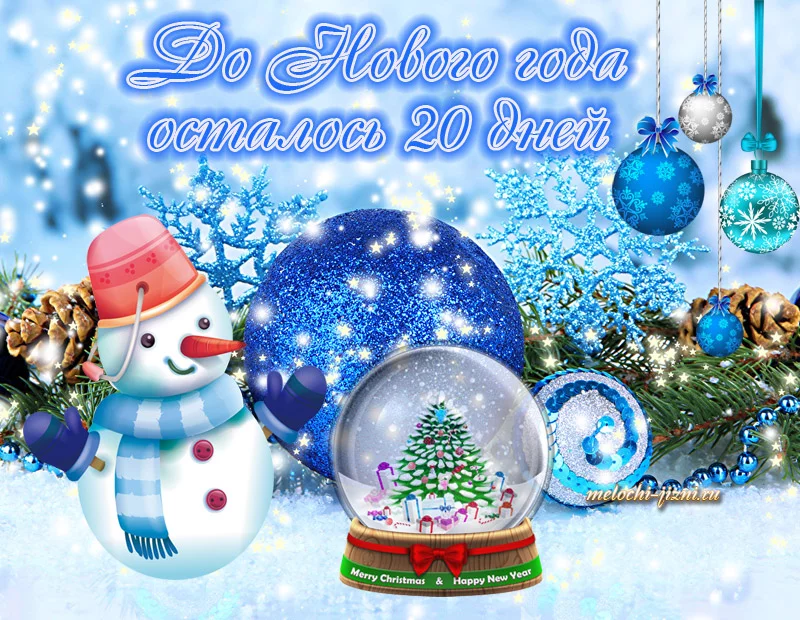 50806545.webp