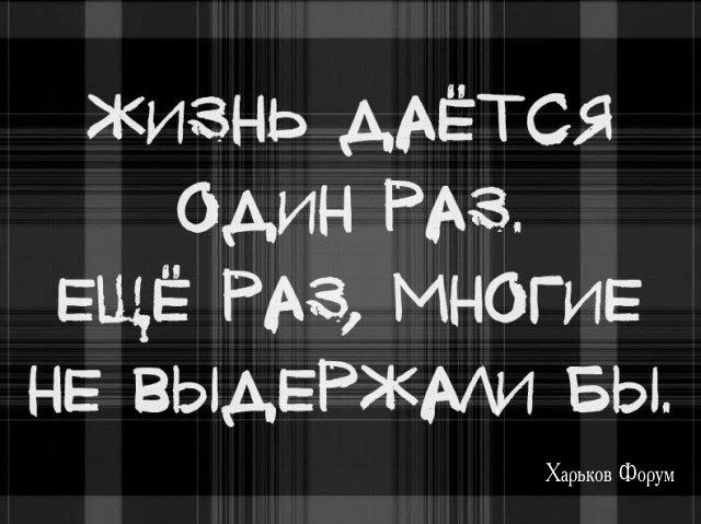 5080e830bc3f611bfd94.webp