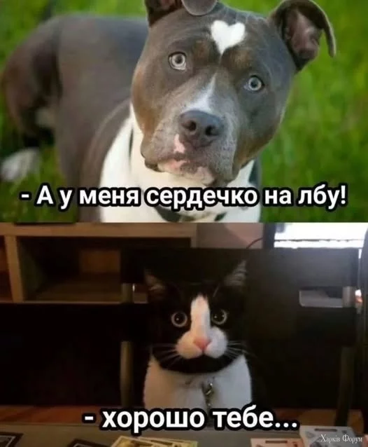 508103898_9909789695810649_3100129041500842154_n.webp