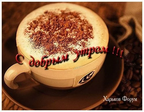5088db145e40a9504.webp