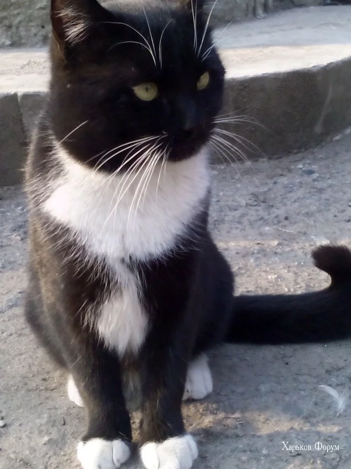 508b32991e67ab08e6.webp