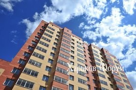 508be3a4a6b72dc7e.jpg