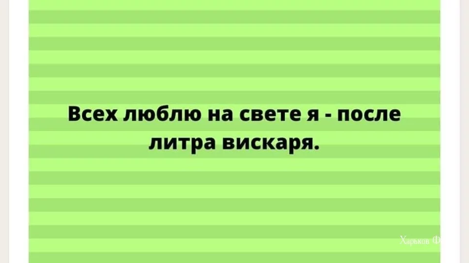 508bfe877da2484891.webp