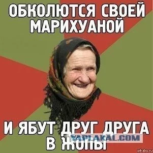 509911.webp