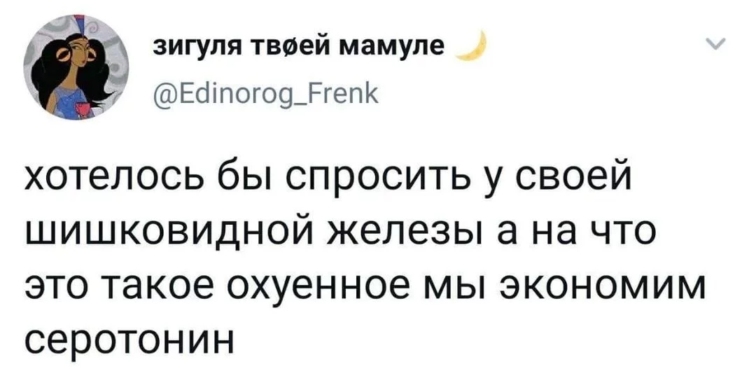 509d2b48d6fe57cdcf9ecb.webp