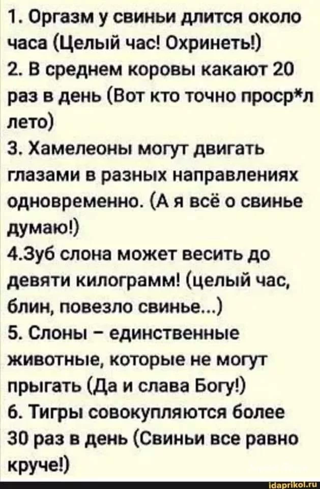 50a435cf09084950c6ae274d.webp