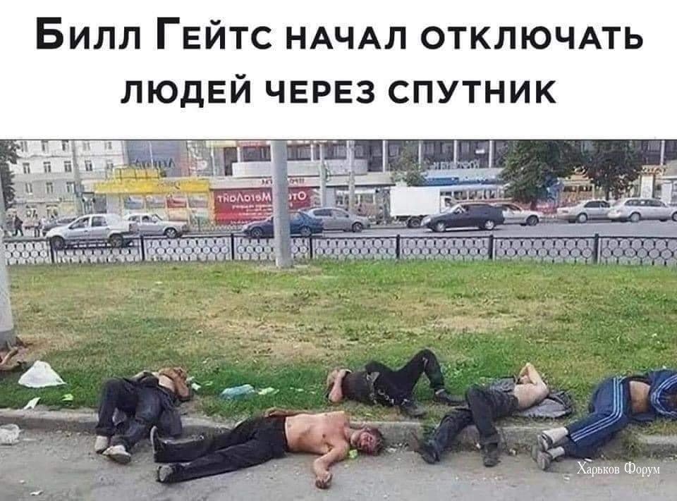 50db71dcf24e18d2ba.jpg