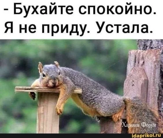 50f03e533f6bd6395d0a2be.webp