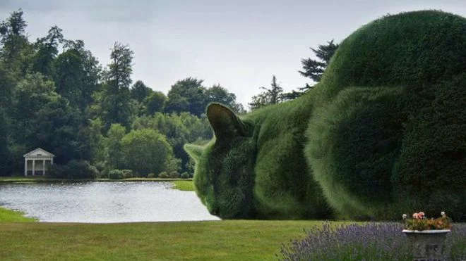 5102_topiary_cats_640x360_richardsaunders_nocredit.webp