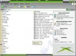 51065412.webp