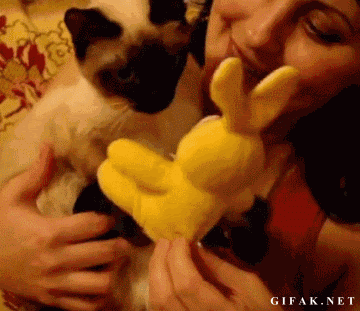 5106b8a986b43b191e7d0.gif