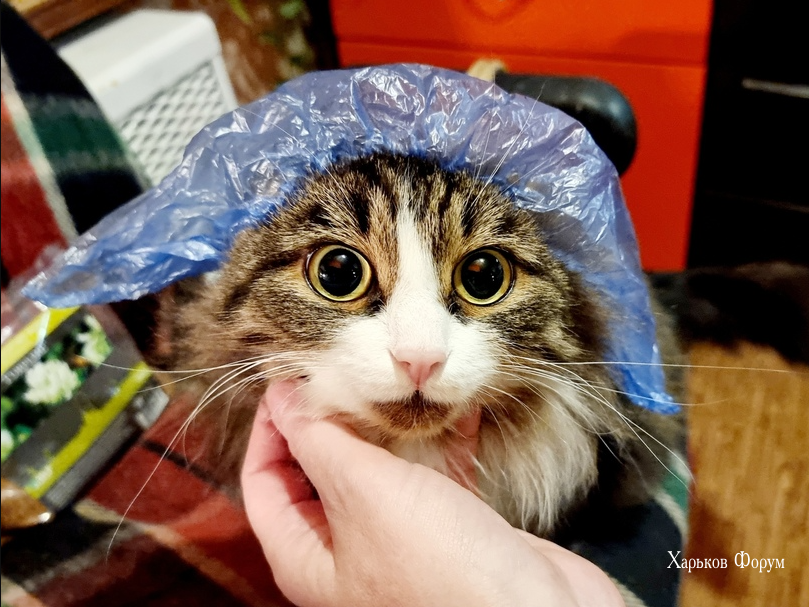 5109890137d42c7e6bf5c9b.png