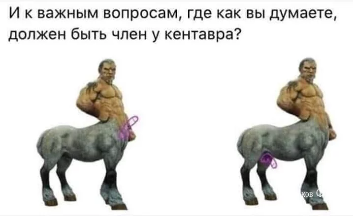 510a86ea4b8a7f6c68fe.webp