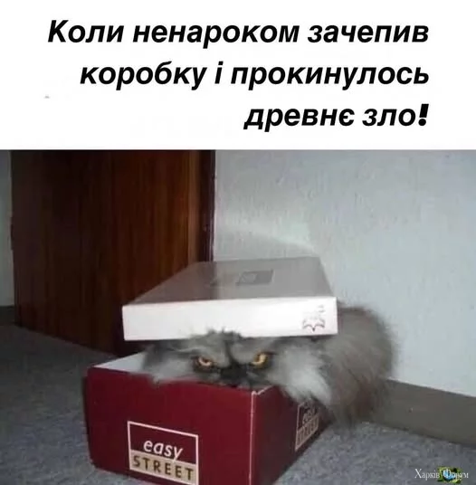 511191015_122175975890532937_9208387559344587565_n.webp