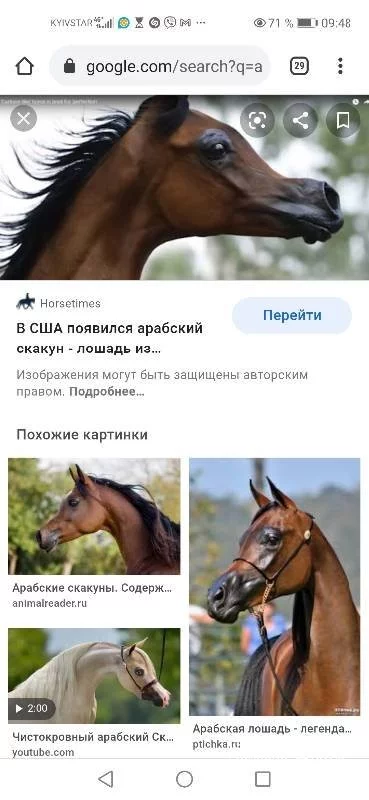 511e3ad9866c8c5e7.webp