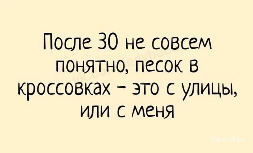 51263408671fa32b.webp