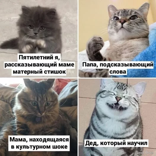 512660612_1165901322247384_3594789099931100296_n.webp
