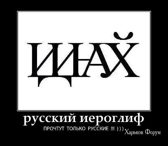 512d517dd8de34c52f0c3.webp