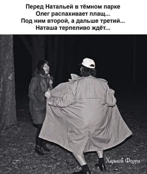 51301b8fb15375a23.webp