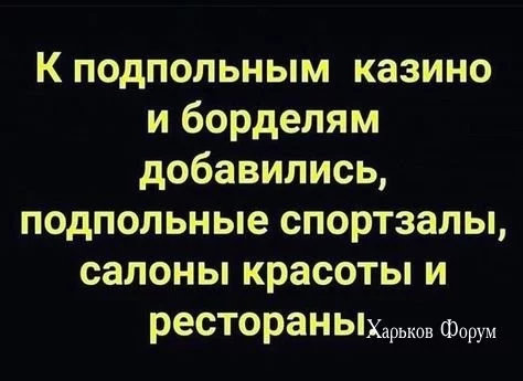 513fb4a7241e5282eaa5f08.webp