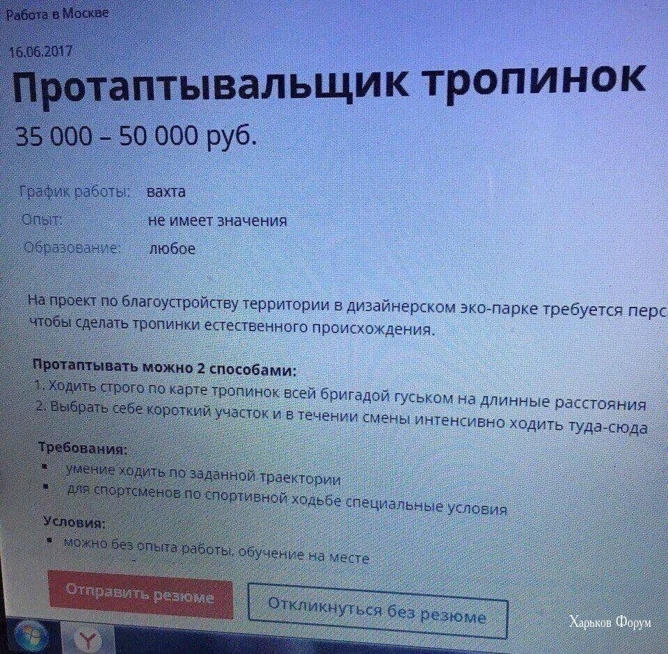 514155bc48437197.webp