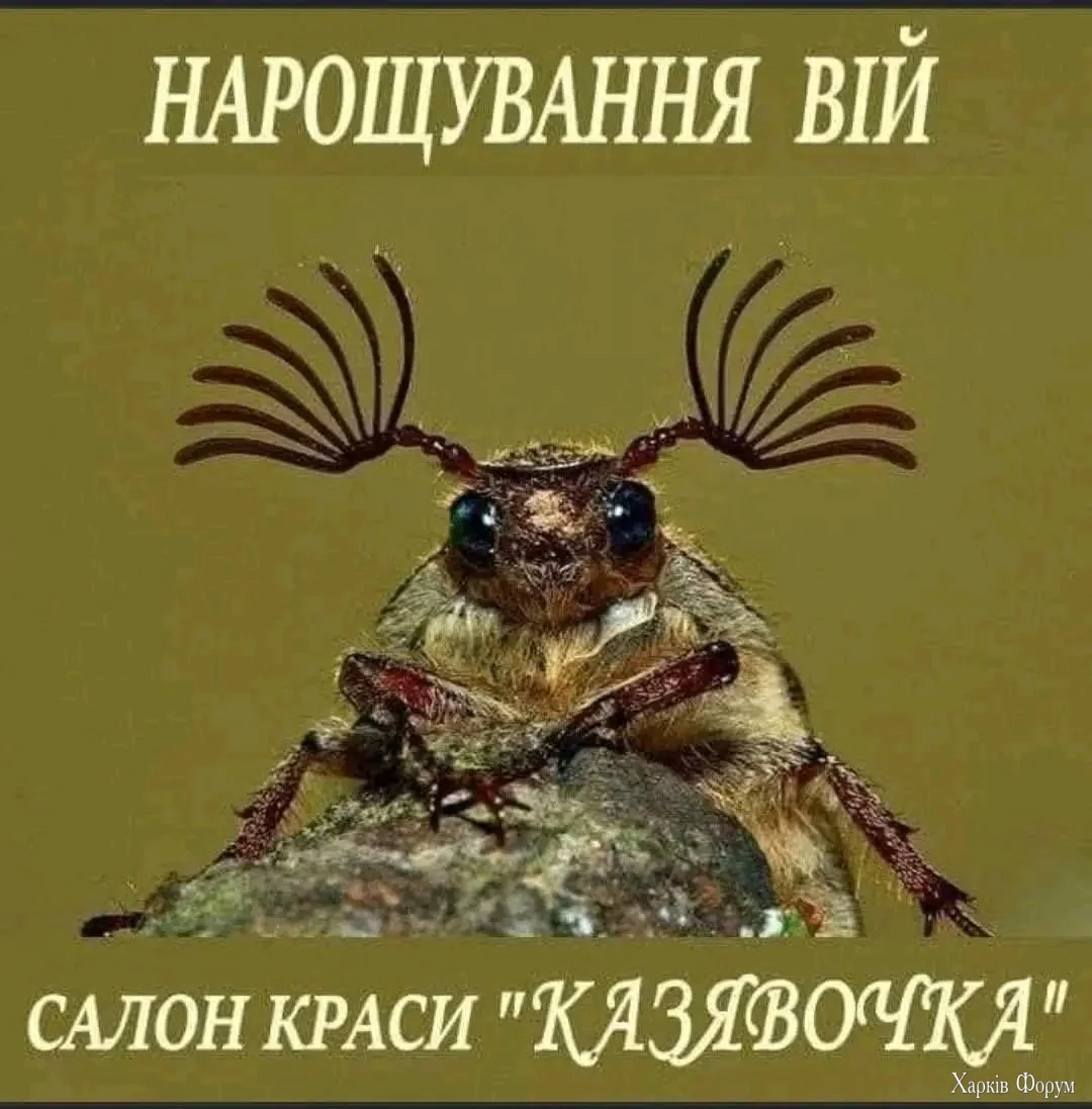 514287213_799536219066846_3008375957102178711_n.webp
