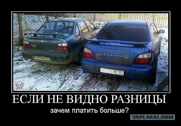 5144324.webp