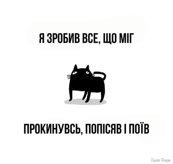 514544521_1842148833035369_2557994335146920040_n.webp