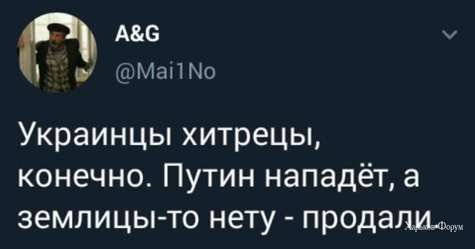 5146e6f03b64f49a.jpg