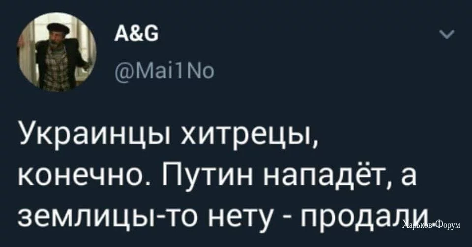 5146e6f03b64f49a.webp