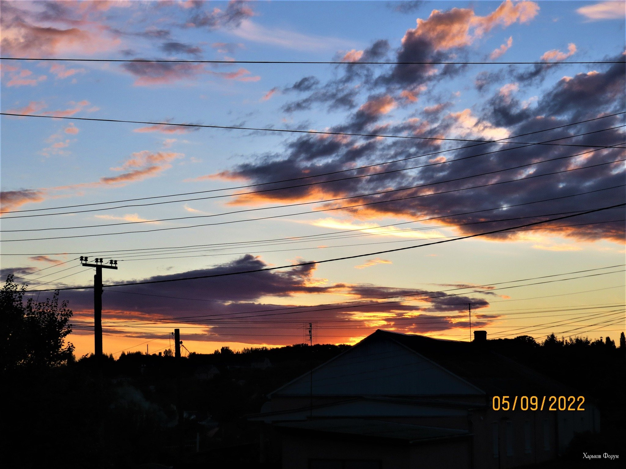 514d5cb89ff401fc5c3874e.jpg
